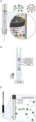 A Comparison of Collection Methods for Microbial Volatiles